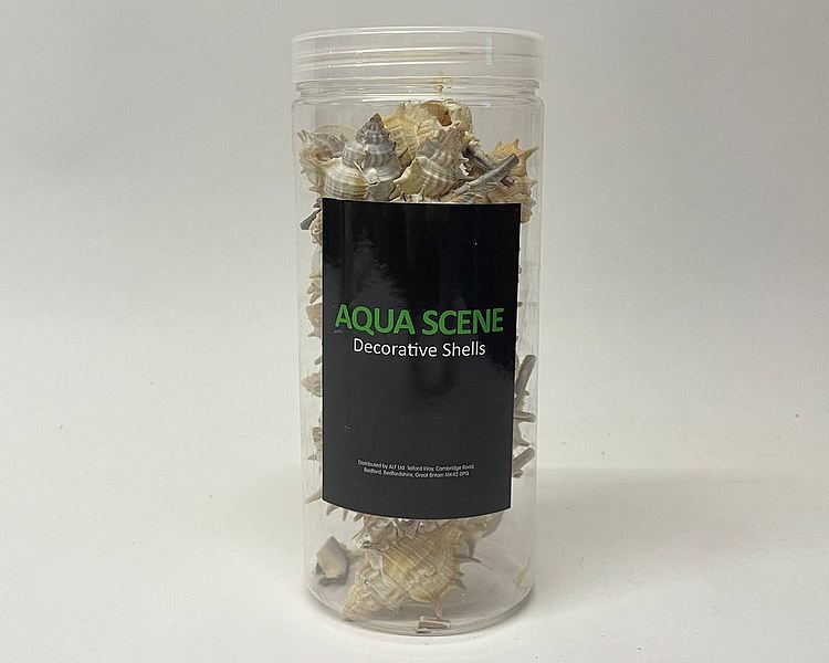 Aquascene Decorative Shell Tub - Mix 3 - Approx 350g